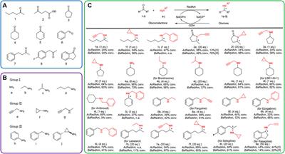 Engineering of Reductive Aminases for Asymmetric Synthesis of Enantiopure Rasagiline